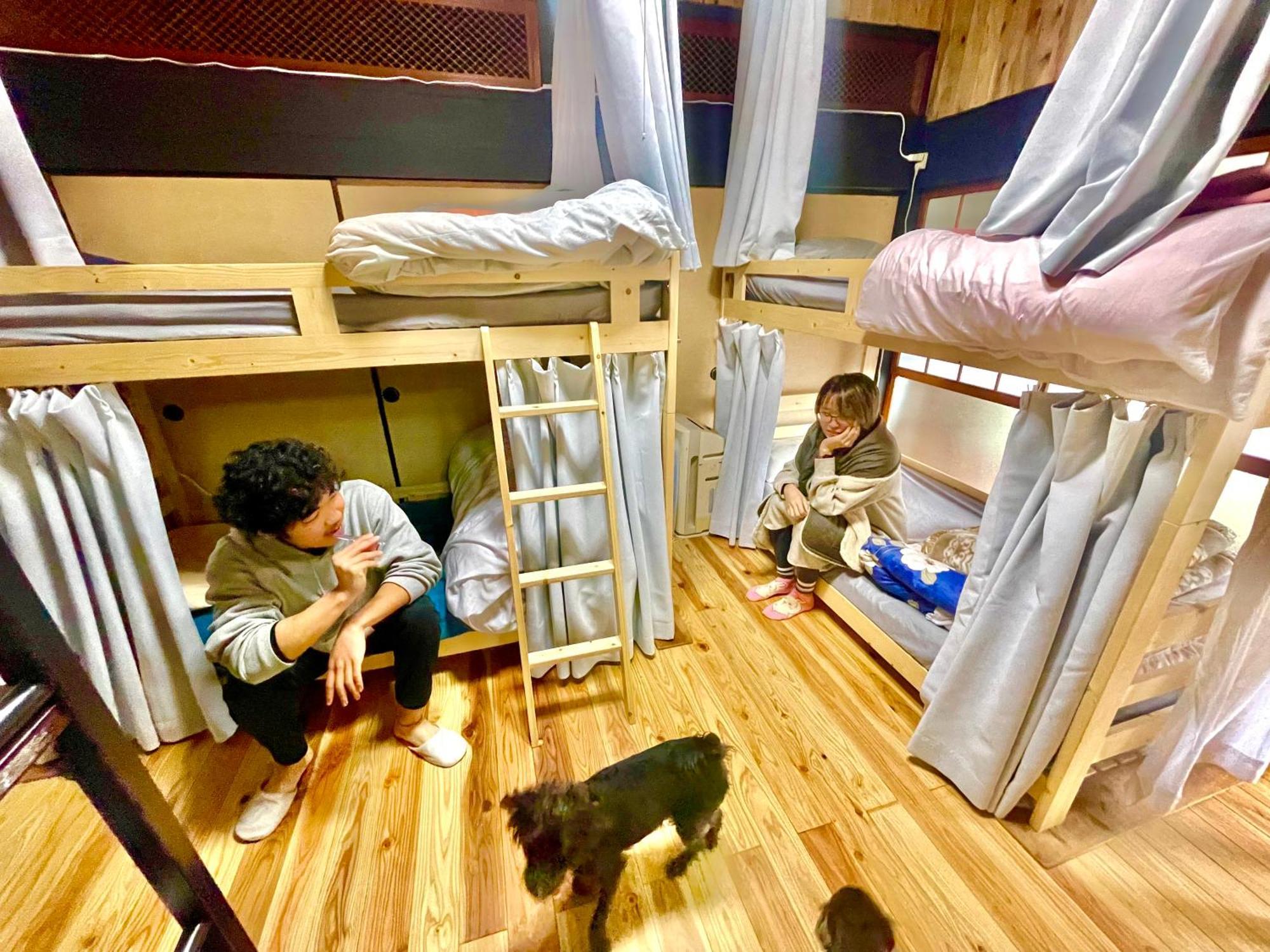 角島ゲストハウスsumikkoオーシャンビューの犬がいるゲストハウスで特別な交流体験個室とドミトリー Takibe Exterior photo
